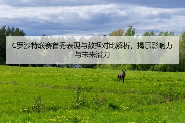 luo-sha-te-lian-sai-shou-xiu-biao-xian-yu-shu-ju-dui-bi-jie-xi-jie-shi-ying-xiang-li-yu-wei-lai-qian-li-2-222.jpg