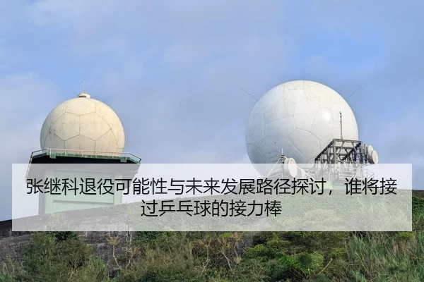 张继科退役可能性与未来发展路径探讨，谁将接过乒乓球的接力棒